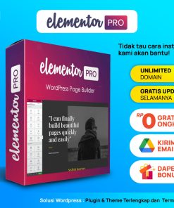 ELEMENTOR PRO + Elementor Core PLUGIN Wordpress Lifetime License