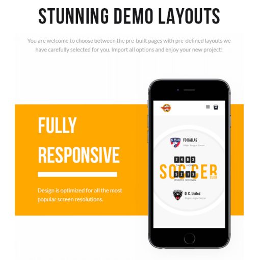 Soccer Club – Football Team WordPress Theme - Image 4