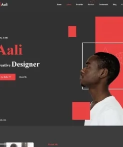 Aali – Personal Portfolio WordPress Theme