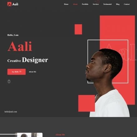 Aali – Personal Portfolio WordPress Theme