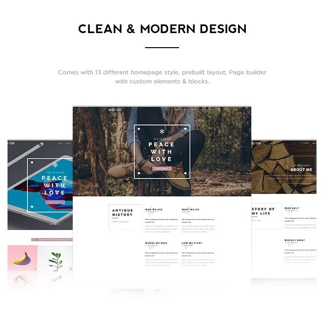 Andier – Responsive One & Multi Page Portfolio Theme - Image 4