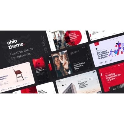 Ohio – Creative Portfolio Agency Theme - Wordpress Theme