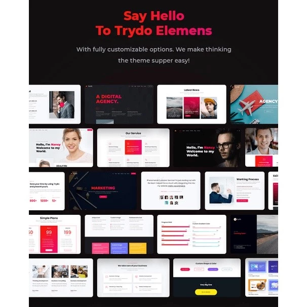 Trydo – Agency & Portfolio Theme - Image 5